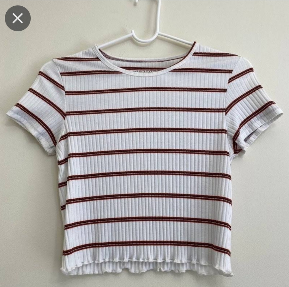 American Eagle Crop Top
